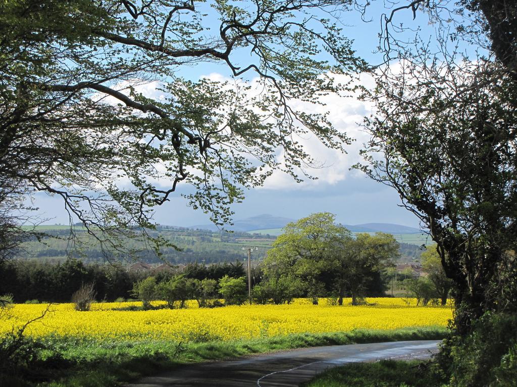 Moneylands Farm B&B Arklow Εξωτερικό φωτογραφία