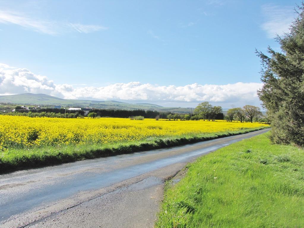 Moneylands Farm B&B Arklow Δωμάτιο φωτογραφία